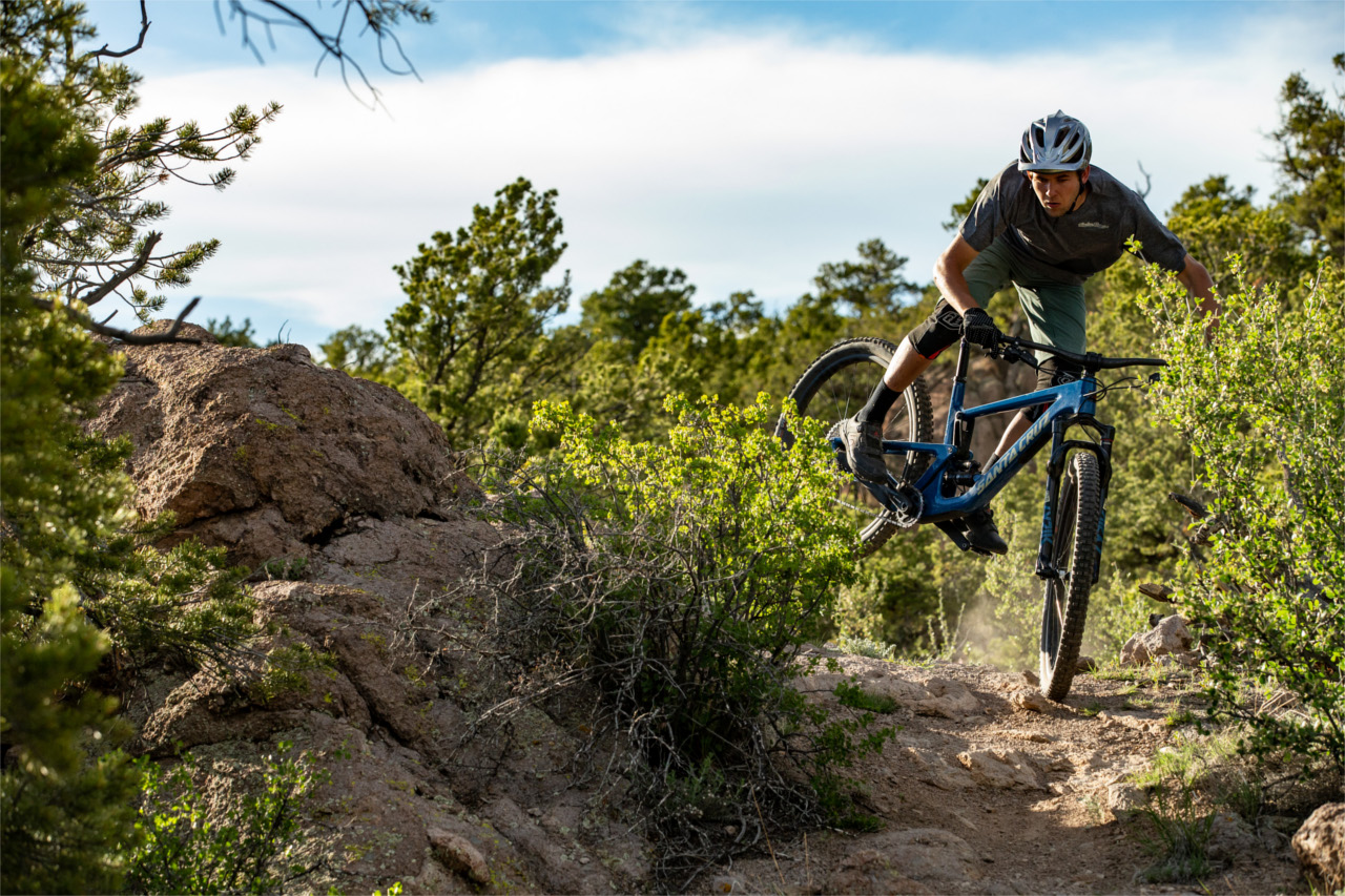 santa cruz hightower al s