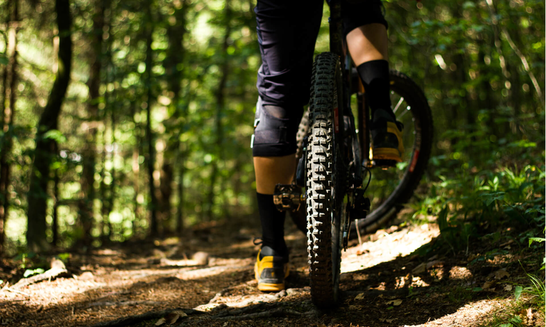 Tipps für deinen MTB-Reifen Kauf