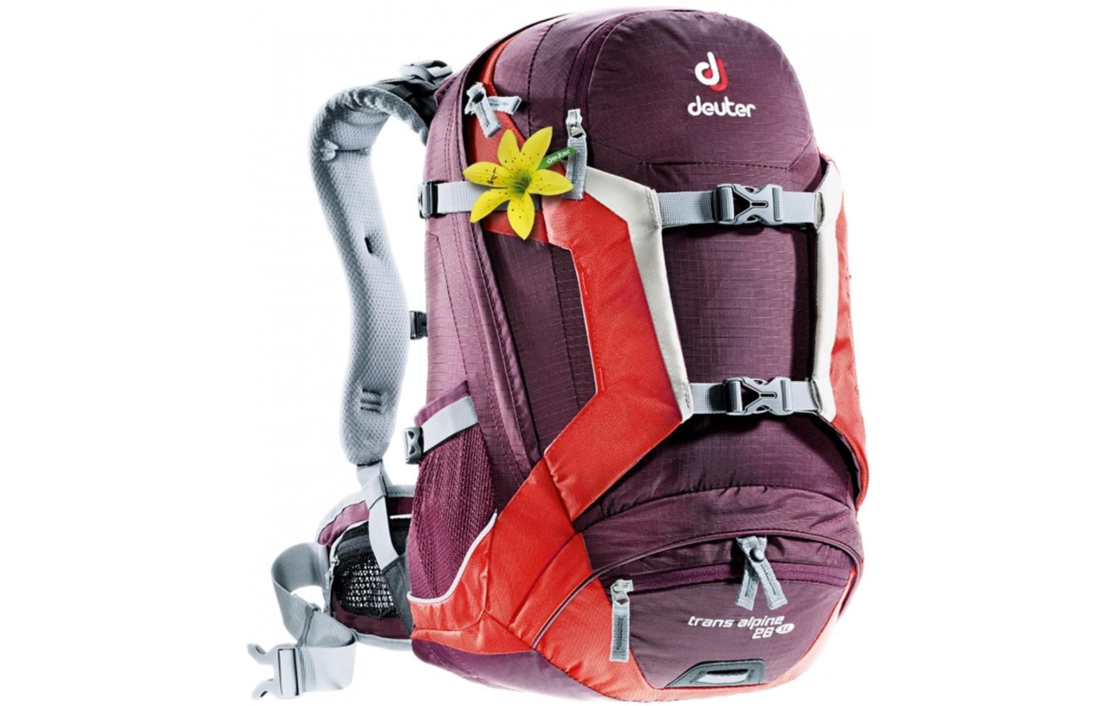 Trans alpine 26 sl outlet
