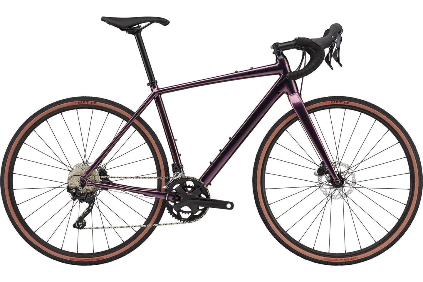 Cannondale Topstone 2 rainbow trout 2021 RABE Bike