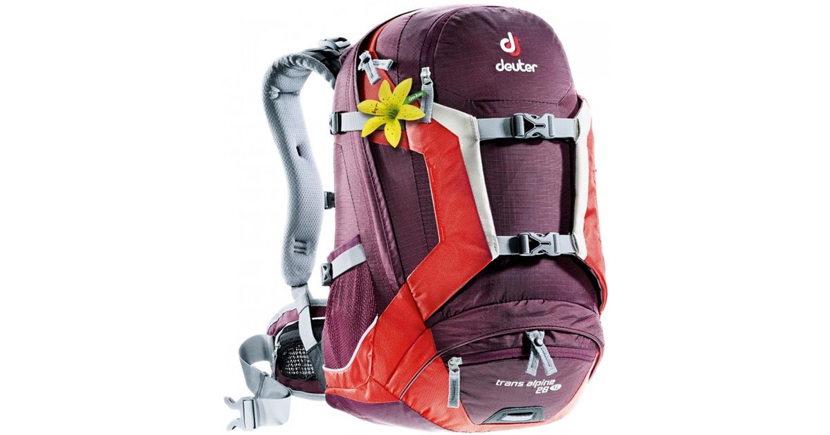 Deuter trans alpine 26 cheap
