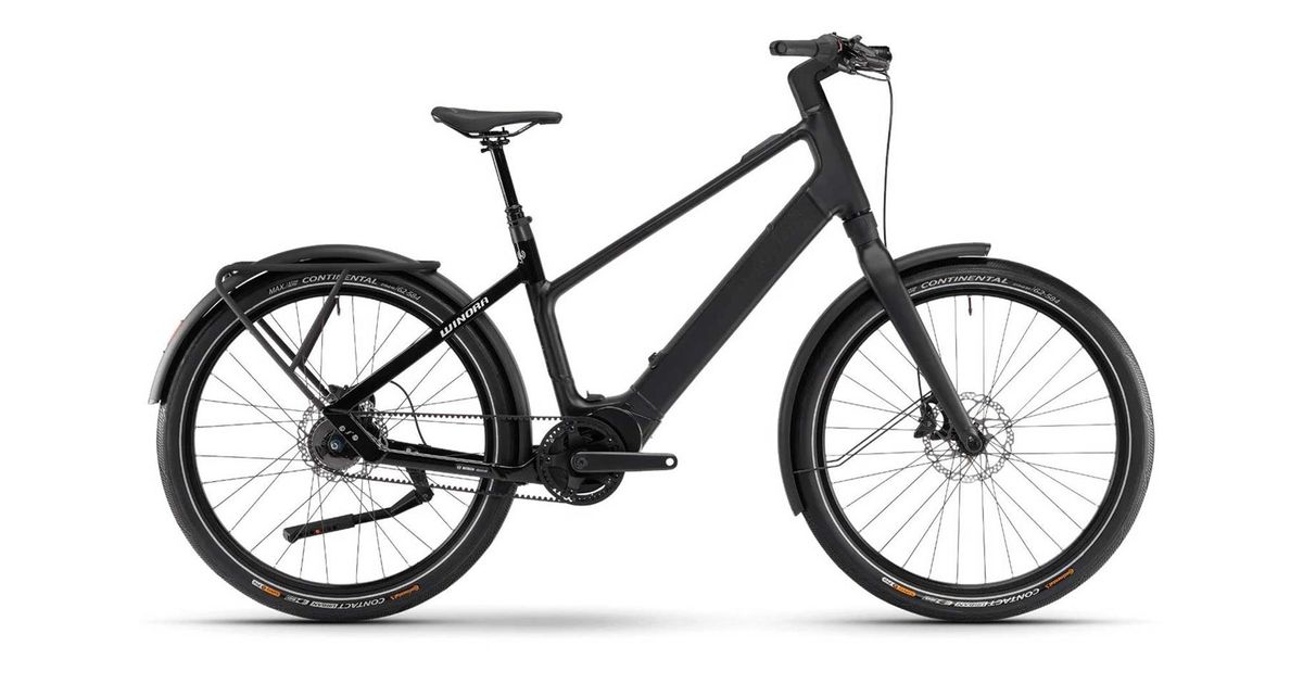Winora iRide Pure R5f Black High
