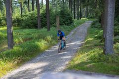 Gravel / Cyclocross Bike