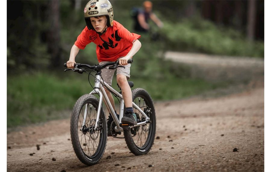 Early rider 20 shop seeker