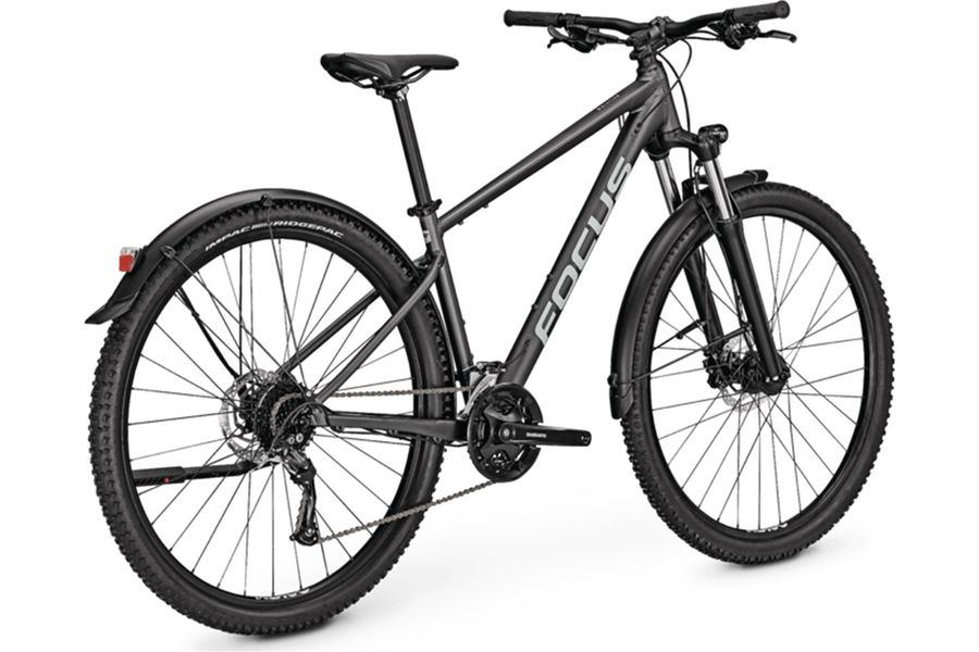 Focus whistler 2025 price