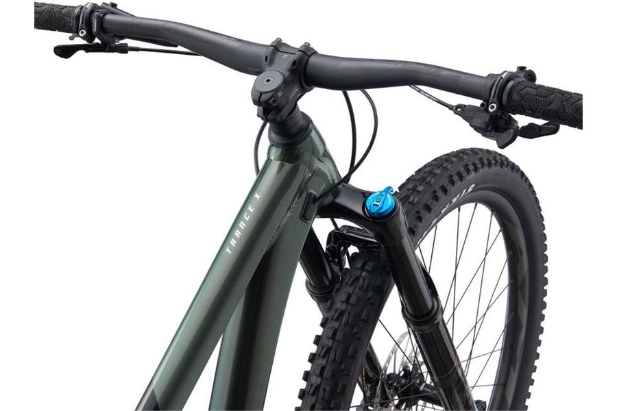 Giant Trance X 2 balsam green black 2021 RABE Bike Online Store