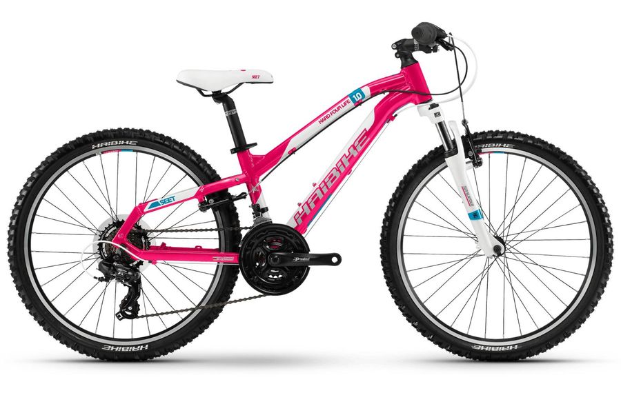 Haibike SEET HardFour Life 1.0 2018 RABE Bike