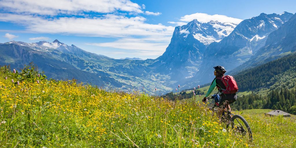 Fahrradtour für Pros: Tipps und Tricks zur Routenplanung