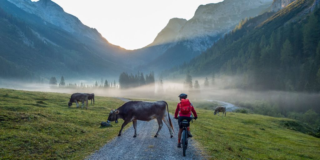 Rucksack und Fahrradtasche: unverzichtbare Tour-Begleiter