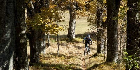 Die besten Herbst & Winter Tipps für Biker